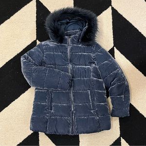 LOFT Blue Velvet Puffer Coat
